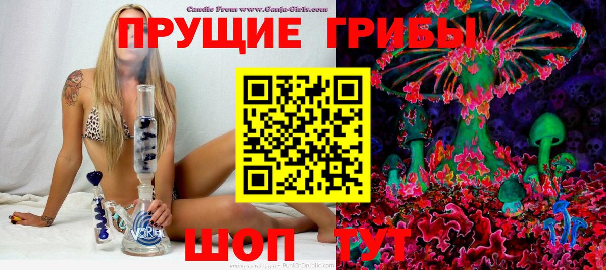 Псилоцибиновые грибы Psilocybine cubensis Кстово