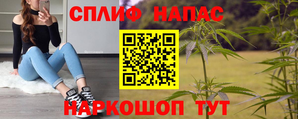 Бошки марихуана план Кстово